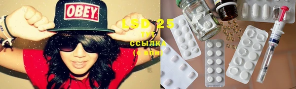 хмурый Видное
