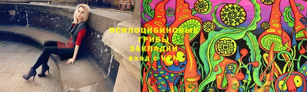 apvp Осинники
