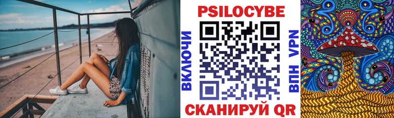 Псилоцибиновые грибы Psilocybe Ижевск
