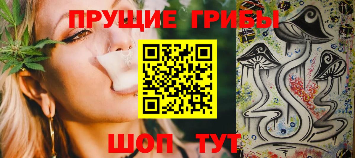 Псилоцибиновые грибы Psilocybine cubensis Ижевск